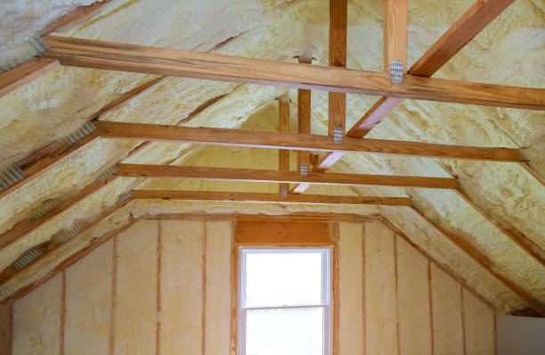 Best Insulation Maintenance and Repair in Raintree Plantation, MO