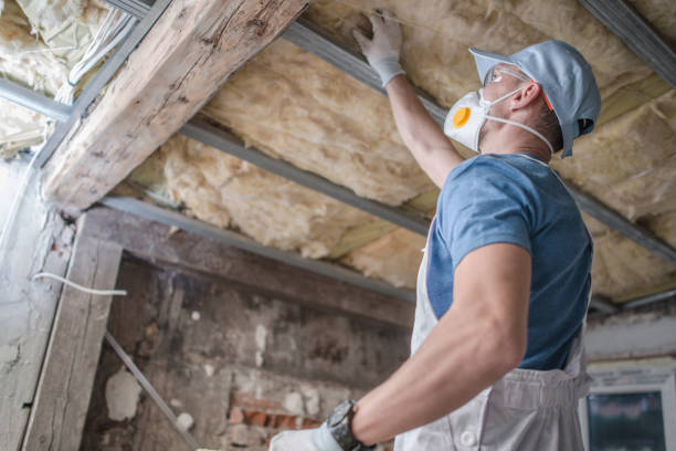 Professional Insulation Contractor in Raintree Plantation, MO