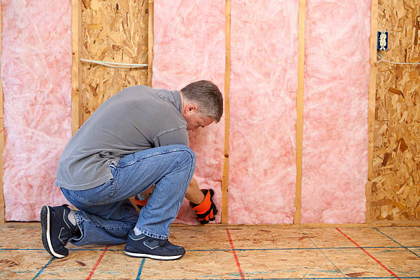 Best Cellulose Insulation in Raintree Plantation, MO