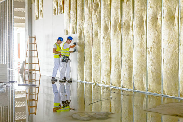 Best Eco-Friendly Insulation in Raintree Plantation, MO
